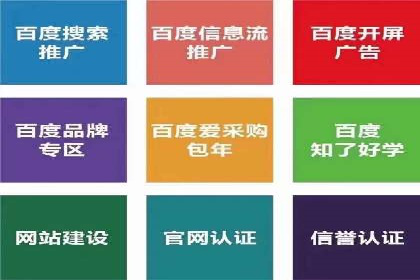 案例分析：托管竞价SEM助力品牌增长